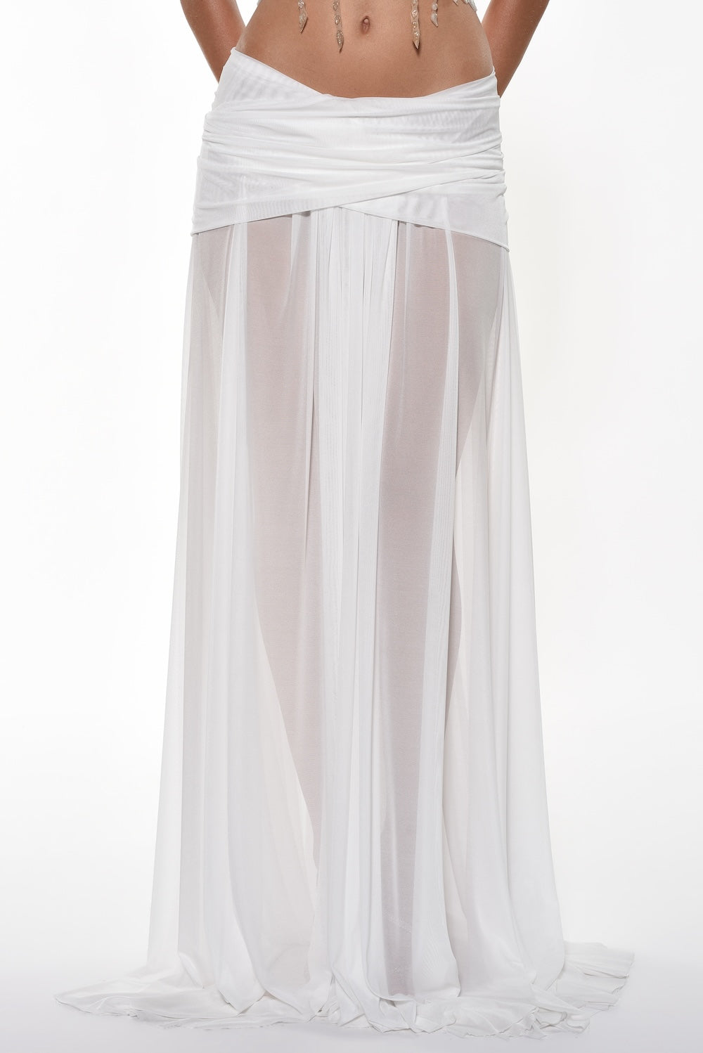 Long Sheer Skirt